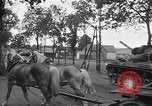 Image of US 7th Army Patton tanks Germany, 1953, second 1 stock footage video 65675054254