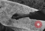 Image of US 7th Army infantry Germany, 1953, second 8 stock footage video 65675054259