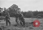 Image of US 7th Army infantry Germany, 1953, second 45 stock footage video 65675054259