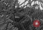 Image of US 7th Army infantry Germany, 1953, second 52 stock footage video 65675054259
