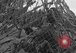 Image of US 7th Army infantry Germany, 1953, second 53 stock footage video 65675054259
