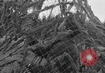 Image of US 7th Army infantry Germany, 1953, second 54 stock footage video 65675054259