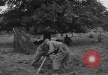 Image of US 7th Army infantry Germany, 1953, second 61 stock footage video 65675054259