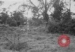 Standbild Anfrage Gruppe My Lai Süd Vietnam, 1969, aus Sekunde 40 historischem Filmmaterial Videoclip 65675054276