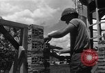 Image troupes sud-coréen le Vietnam du Sud, 1968, de la seconde 41 séquences d'archives historiques vidéo 65675054277