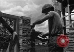 Image troupes sud-coréen le Vietnam du Sud, 1968, de la seconde 42 séquences d'archives historiques vidéo 65675054277