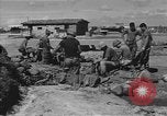 Image troupes sud-coréen le Vietnam du Sud, 1968, de la seconde 55 séquences d'archives historiques vidéo 65675054277