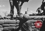 Image troupes sud-coréen le Vietnam du Sud, 1968, de la seconde 61 séquences d'archives historiques vidéo 65675054277