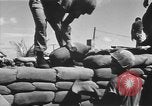 Image troupes sud-coréen le Vietnam du Sud, 1968, de la seconde 62 séquences d'archives historiques vidéo 65675054277