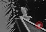 Image troupes sud-coréen le Vietnam du Sud, 1968, de la seconde 32 séquences d'archives historiques vidéo 65675054278
