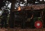 Immagine di Mobile forza fluviali barche in Vietnam Delta del Mekong Vietnam, 1968, secondo 9 filmato di repertorio 65675054294