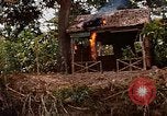 Immagine di Mobile forza fluviali barche in Vietnam Delta del Mekong Vietnam, 1968, secondo 27 filmato di repertorio 65675054294