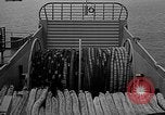 Image of Minesweeper ships United States USA, 1942, second 13 stock footage video 65675054322