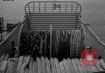 Image of Minesweeper ships United States USA, 1942, second 14 stock footage video 65675054322
