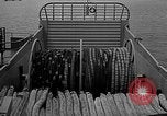 Image of Minesweeper ships United States USA, 1942, second 15 stock footage video 65675054322