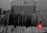 Image of Minesweeper ships United States USA, 1942, second 16 stock footage video 65675054322