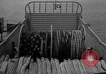 Image of Minesweeper ships United States USA, 1942, second 17 stock footage video 65675054322