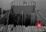 Image of Minesweeper ships United States USA, 1942, second 23 stock footage video 65675054322