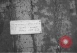 Standbild USS Wasp South China Sea, 1954, aus Sekunde 1 historischem Filmmaterial Videoclip 65675054330