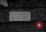 Image of USS Wasp South China Sea, 1954, second 4 stock footage video 65675054335