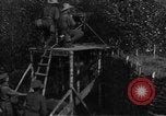 Image of Canadian military training in World War 1 Montreal Quebec Canada, 1915, second 17 stock footage video 65675054344