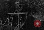 Image of Canadian military training in World War 1 Montreal Quebec Canada, 1915, second 19 stock footage video 65675054344
