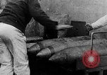 Image of French and British ships battle German ships World War 1 European Theater, 1916, second 50 stock footage video 65675054363