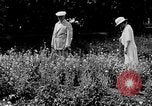 Image of John William Davis United States USA, 1924, second 16 stock footage video 65675054383