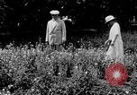 Image of John William Davis United States USA, 1924, second 17 stock footage video 65675054383