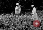 Image of John William Davis United States USA, 1924, second 18 stock footage video 65675054383