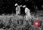Image of John William Davis United States USA, 1924, second 19 stock footage video 65675054383