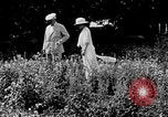 Image of John William Davis United States USA, 1924, second 22 stock footage video 65675054383