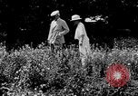 Image of John William Davis United States USA, 1924, second 23 stock footage video 65675054383
