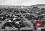 Standbild Inka Ruinen Tiwanaku Bolivien, 1966, aus Sekunde 18 historischem Filmmaterial Videoclip 65675054389