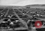 Standbild Inka Ruinen Tiwanaku Bolivien, 1966, aus Sekunde 20 historischem Filmmaterial Videoclip 65675054389