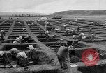 Standbild Inka Ruinen Tiwanaku Bolivien, 1966, aus Sekunde 21 historischem Filmmaterial Videoclip 65675054389