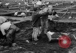 Standbild Inka Ruinen Tiwanaku Bolivien, 1966, aus Sekunde 27 historischem Filmmaterial Videoclip 65675054389