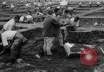 Standbild Inka Ruinen Tiwanaku Bolivien, 1966, aus Sekunde 28 historischem Filmmaterial Videoclip 65675054389