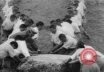 Standbild Inka Ruinen Tiwanaku Bolivien, 1966, aus Sekunde 46 historischem Filmmaterial Videoclip 65675054389