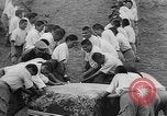 Standbild Inka Ruinen Tiwanaku Bolivien, 1966, aus Sekunde 49 historischem Filmmaterial Videoclip 65675054389