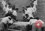 Standbild Inka Ruinen Tiwanaku Bolivien, 1966, aus Sekunde 50 historischem Filmmaterial Videoclip 65675054389