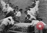Standbild Inka Ruinen Tiwanaku Bolivien, 1966, aus Sekunde 51 historischem Filmmaterial Videoclip 65675054389