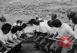 Standbild Inka Ruinen Tiwanaku Bolivien, 1966, aus Sekunde 54 historischem Filmmaterial Videoclip 65675054389