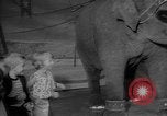 Image éléphant dansant Sparks Nevada USA, 1966, de la seconde 14 séquences d'archives historiques vidéo 65675054391