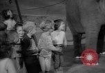 Image éléphant dansant Sparks Nevada USA, 1966, de la seconde 15 séquences d'archives historiques vidéo 65675054391