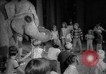 Image éléphant dansant Sparks Nevada USA, 1966, de la seconde 24 séquences d'archives historiques vidéo 65675054391