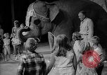 Image éléphant dansant Sparks Nevada USA, 1966, de la seconde 29 séquences d'archives historiques vidéo 65675054391