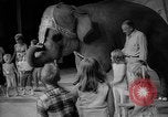 Image éléphant dansant Sparks Nevada USA, 1966, de la seconde 30 séquences d'archives historiques vidéo 65675054391