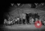Image éléphant dansant Sparks Nevada USA, 1966, de la seconde 44 séquences d'archives historiques vidéo 65675054391