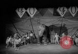 Image éléphant dansant Sparks Nevada USA, 1966, de la seconde 46 séquences d'archives historiques vidéo 65675054391
